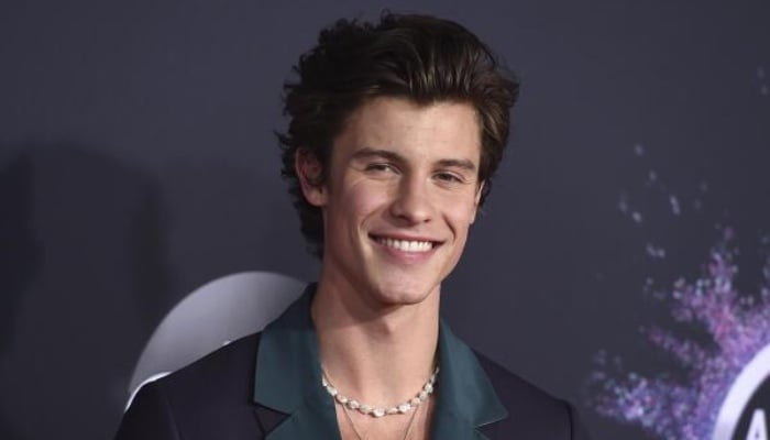 Shawn Mendes teases fans with upcoming song ‘Isn’t That Enough’