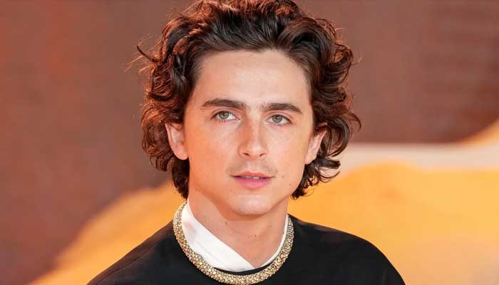 Timothée Chalamet gets angry with a crew member on ‘A Complete Unknown’ set