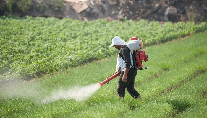 Living in a pesticide-exposed environment is as injurious as smoking