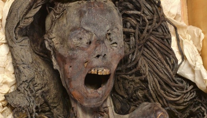 Mystery of the Egypt’s 3,500-year-old Screaming Woman mummy unveiled