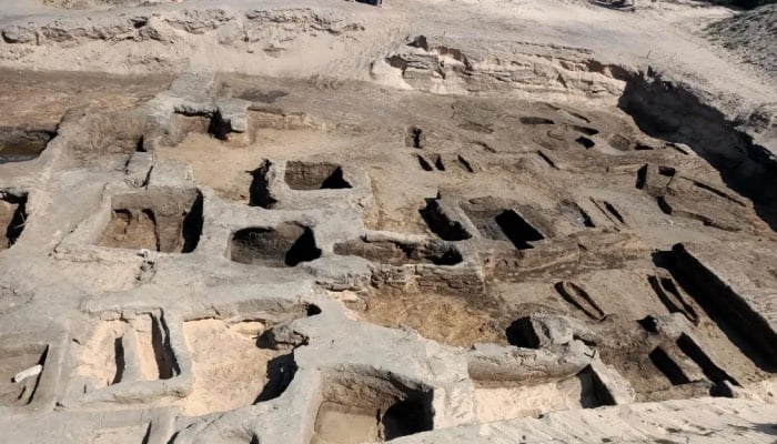 Excavation in Egypts ancient Necropolis finds 63 tombs with stunning treasures