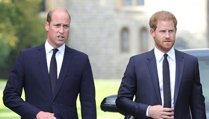 Prince William shows disdain over Prince Harrys big share in royal treasure