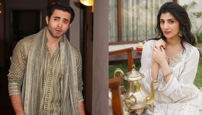 Sheheryar Munawar goes Instagram official with actress Maheen Siddiqui by labeling her jaan