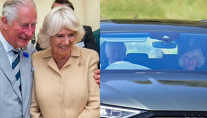 King Charles gleaming in Queen Camilla’s company