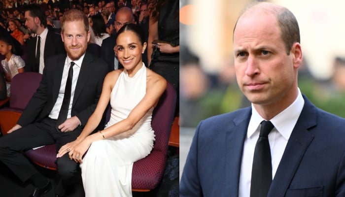 Prince Harry, Meghan Markle become ‘headache’ for Prince William