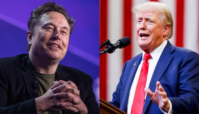 Donald Trump vows to take big decision for immigrants in Elon Musk interview