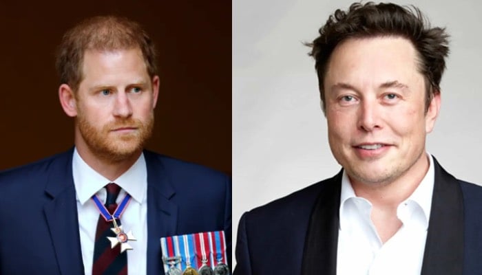 Prince Harry subtly blames Elon Musks X for UK riots in emotional speech