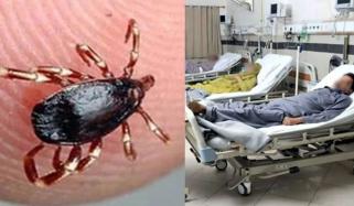 کوئٹہ: کانگو وائرس کا ایک اور مریض سامنے آ گیا