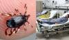 کوئٹہ: کانگو وائرس کا ایک اور مریض سامنے آ گیا