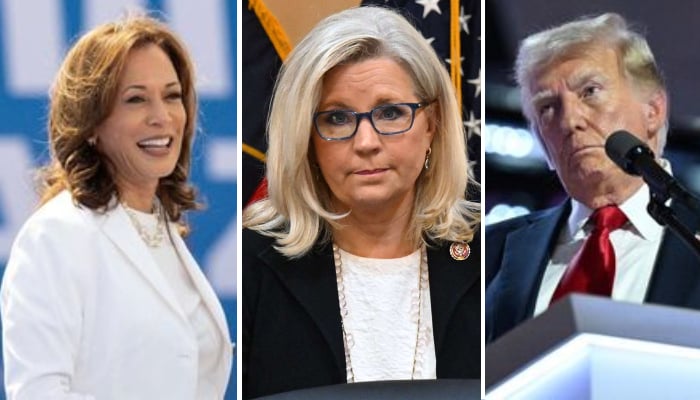 Ex-Republican Liz Cheney SLAMS Donald Trump as ‘danger,’ endorses Kamala Harris