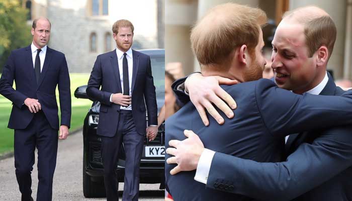 Prince Harry, William express desire to mend ties after surprising reunion