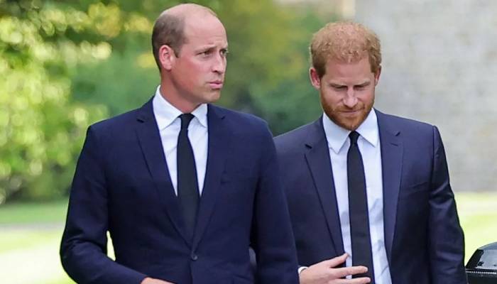 Prince Harry snubs Prince William with new brutal five word statement