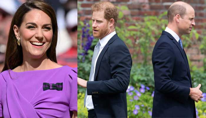 Kate Middleton shares first statement after Prince Harry, Williams UK reunion