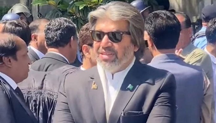 بانی پی ٹی آئی مینڈیٹ کی واپسی، اسیران کی رہائی اور آئین کی حکمرانی چاہتے ہیں، علی محمد