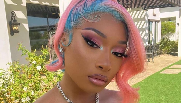 Megan Thee Stallion has been wowed by admirers purchasing tickets to ‘dance, twerk, sing’