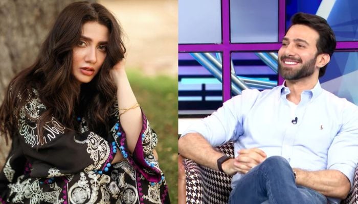 Emmad Irfani was all praise for Mahira Khan in a viral interview