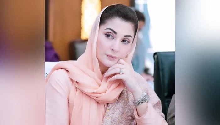 وزیرِاعلیٰ پنجاب مریم نواز---فائل فوٹو