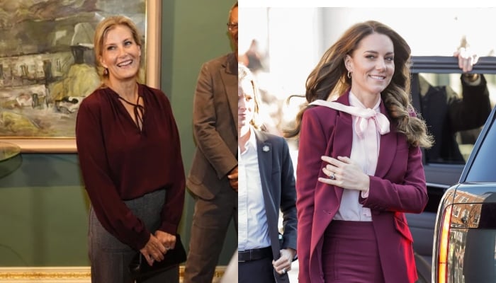 Princess Sophie channels Princess Kate elegance during major royal engagement