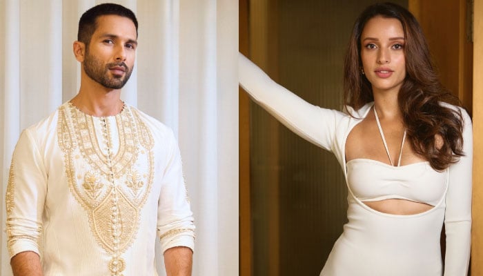 Confirmed! Shahid Kapoor and Triptii Dimris collaboration is in the works