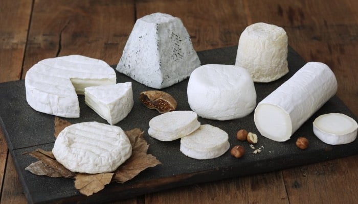 Love cheese but struggling with weight? Try THESE smart choices to lose pounds