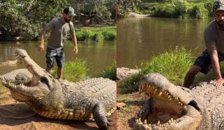 124 سالہ مگرمچھ سے سامنا، ویڈیو نے انٹرنیٹ پر دھوم مچادی