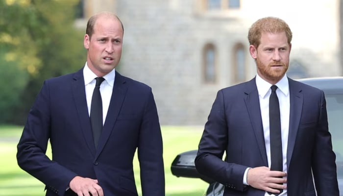 Prince William finds healing in key ally as tensions with Harry leave a void in his life