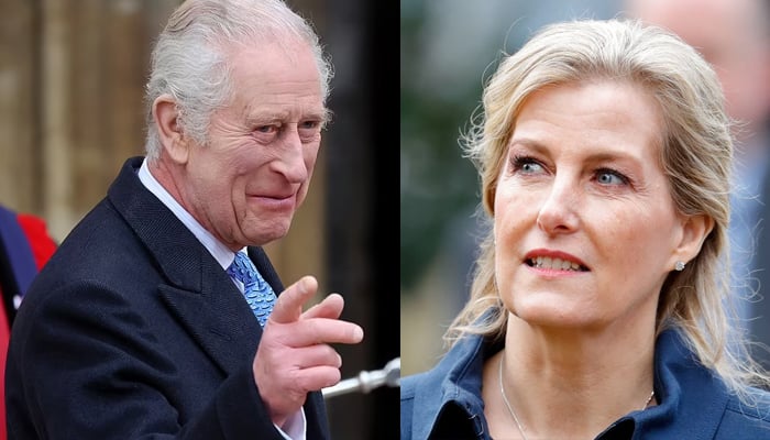 King Charles in ‘gratitude’ for Duchess Sophie’s effort as he missed on royal engagement