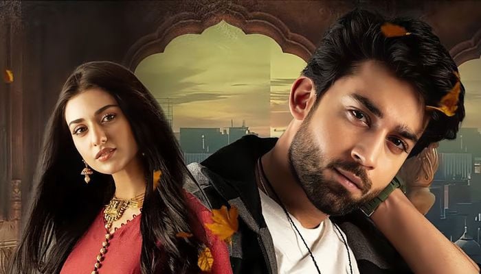 Sarah Khan and Bilal Abbas Khan worked together in Abdullahpur Ka Devdas