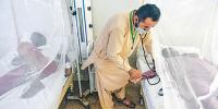 کراچی: ڈینگی، ملیریا، چکن گونیا کے کیسز میں اضافہ