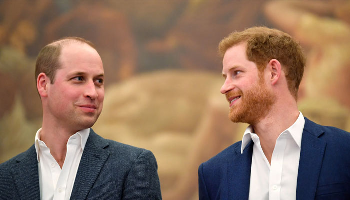 Real reason behind Prince Williams olive branch to Prince Harry