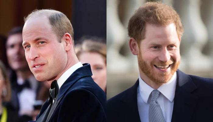 Prince William, Prince Harry’s complicated relationship ‘myth’ gets busted