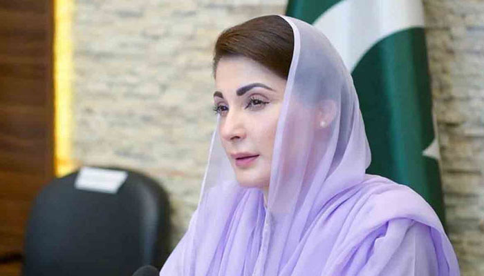 سرکاری زمین پر گندم کی بوائی کی جائے، مریم نواز