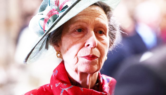 Princess Anne couldn’t squeeze out time for King Charles, Queen Camilla, Prince William