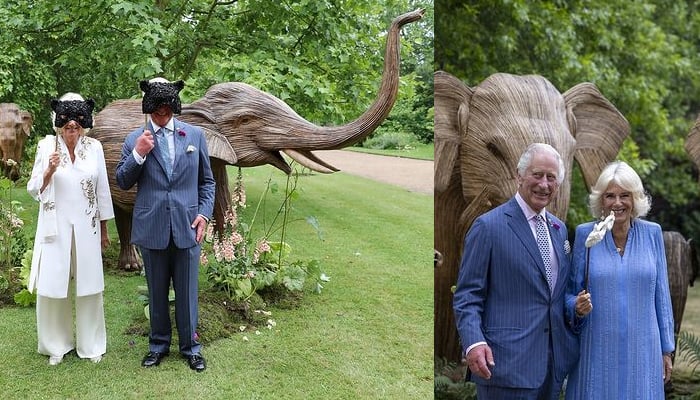 Queen Camilla attains great achievement in taking late brother’s work forward with King Charles