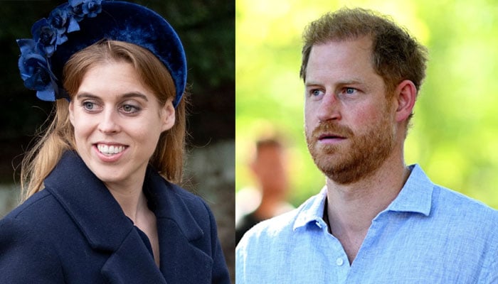 Prince Harry held secret meeting with Princess Beatrice in New York?