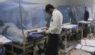 راولپنڈی، اسلام آباد، کراچی میں ڈینگی پھیلنے کی وارننگ جاری