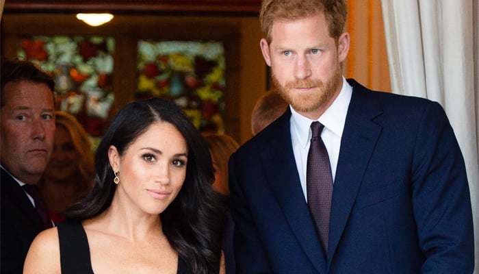 Prince Harry, Meghan Markle are ‘deeply committed’ to their professional projects