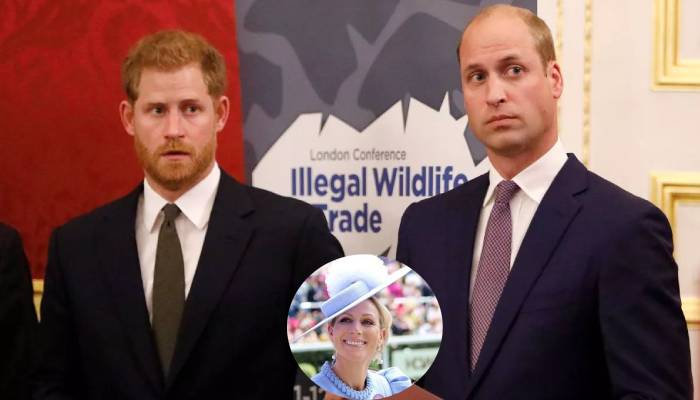 Prince William and Prince Harry’s feud may be resolved by Zara Tindall