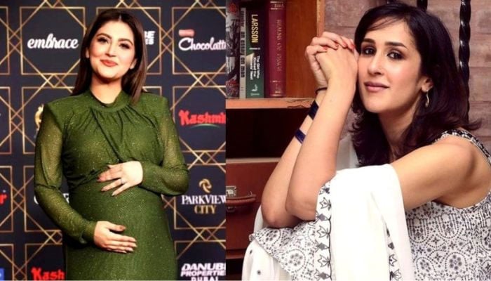 Hiba Bukharis maternity fashion outfit at the Hum Style Awards garners criticism