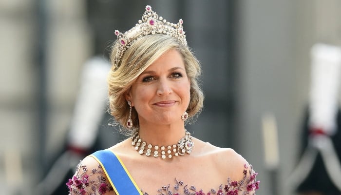 Queen Maxima steals spotlight in galactic outfit during her recent appearance