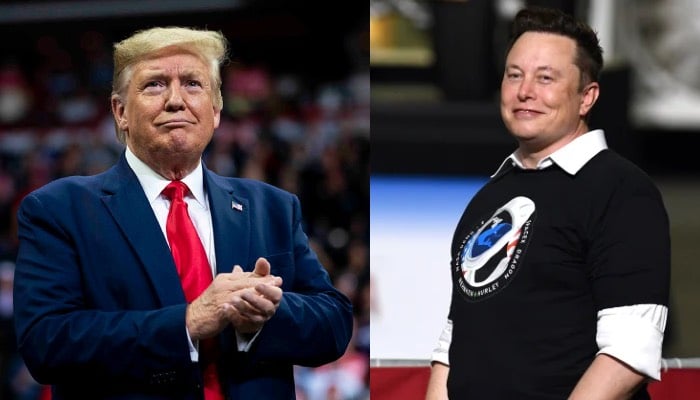 Donald Trump teams up with Elon Musk for highly anticipated rally in Pennsylvania