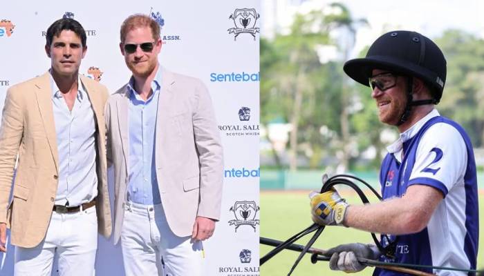 Prince Harry’s pal gives new insights into docuseries ‘POLO’