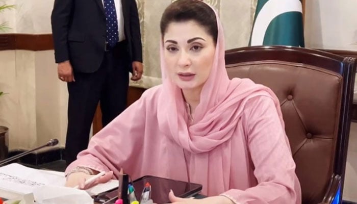 مریم نواز --- فائل فوٹو