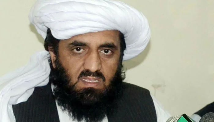 جے یو آئی کے مرکزی رہنما حافظ حمد اللّٰہ—فائل فوٹو