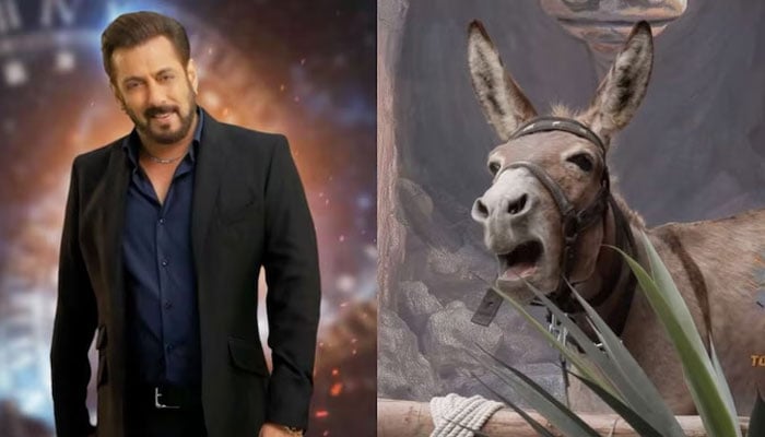 After the black buck, Salman Khan got into trouble because of the donkey