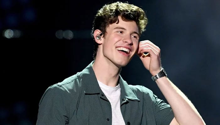 Shawn Mendes announces live concert film with only one night show