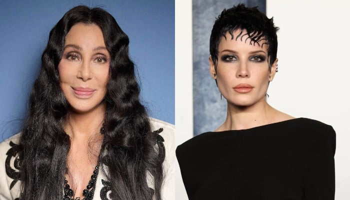 Cher becomes inspiration for Halsey amid upcoming album release