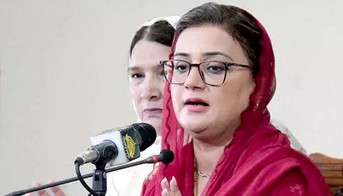 Uzma Bukhari commented on the plight of schools in Sindh