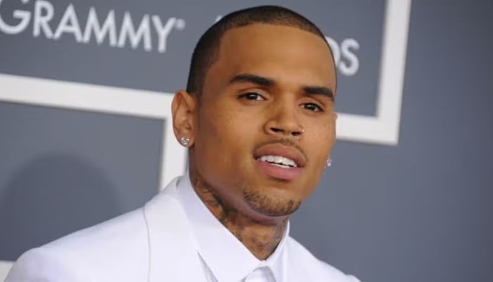 Chris Brown concert faces criticism after his history of violence against women