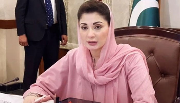 وزیرِ اعلیٰ پنجاب مریم نواز ـــ فائل فوٹو